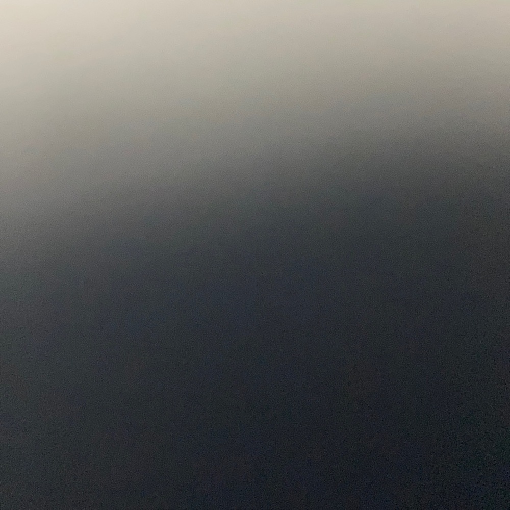 Meet your Posher, Jazzy